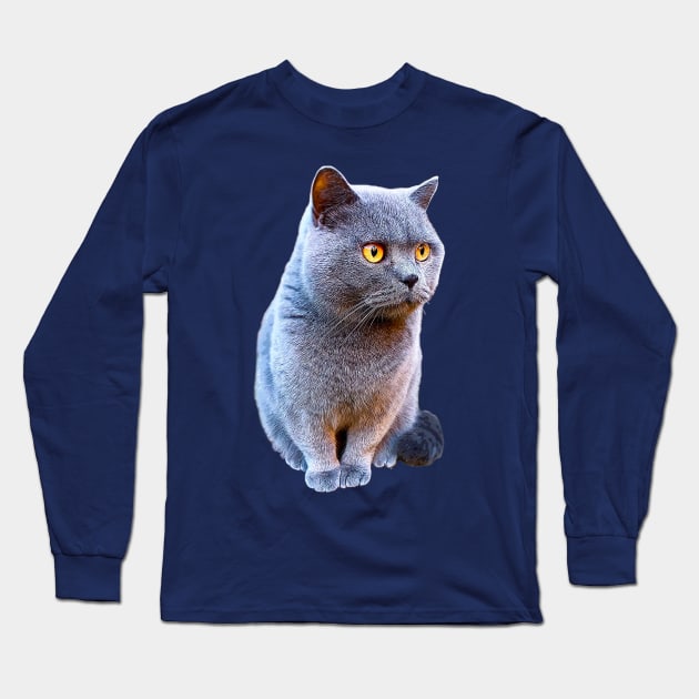 British Shorthair Cat Blue with Orange eyes Long Sleeve T-Shirt by Elarex